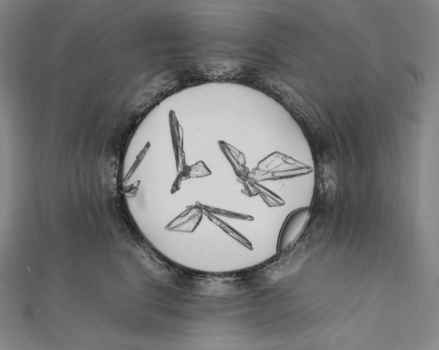 X0000112040664200908311237