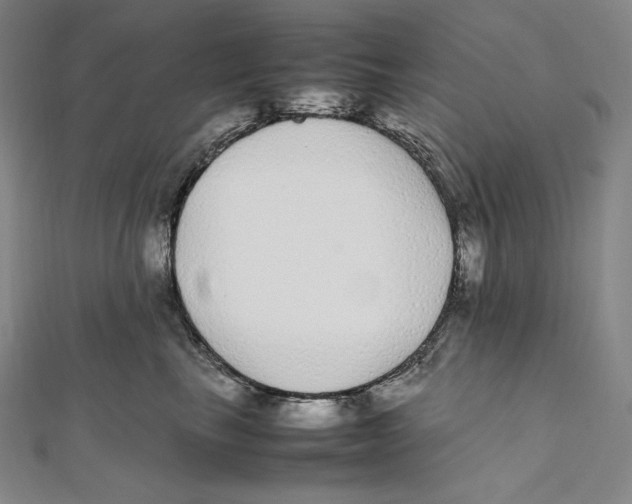 X0000112040665200908311237