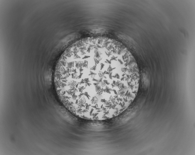X0000112040668200908311237