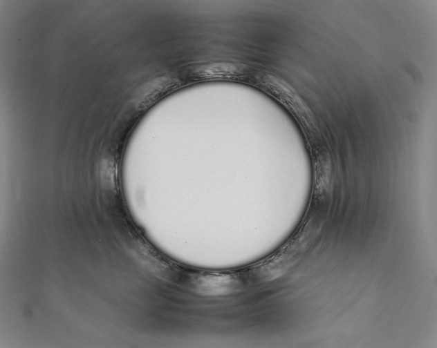 X0000112040669200908311237