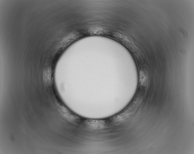 X0000112040670200908311237