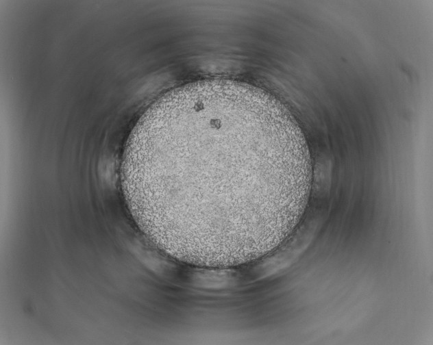 X0000112040671200908311237