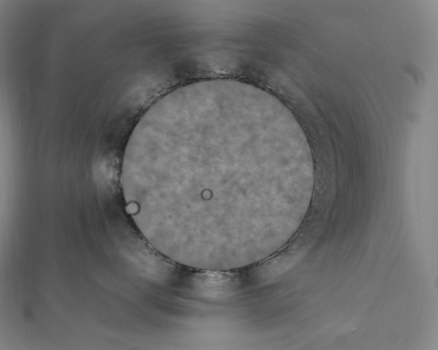 X0000112040672200908311237