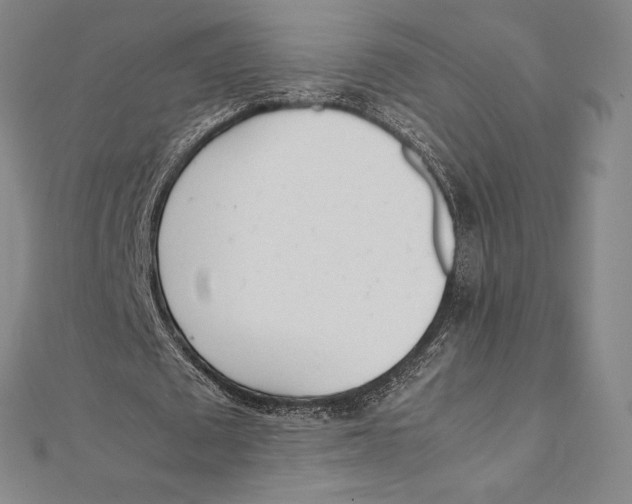 X0000112040673200908311236