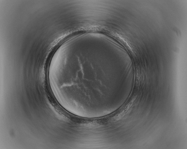 X0000112040674200908311236