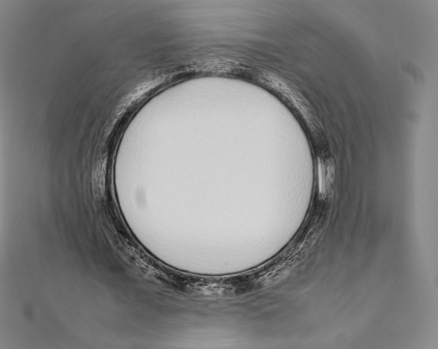 X0000112040675200908311236
