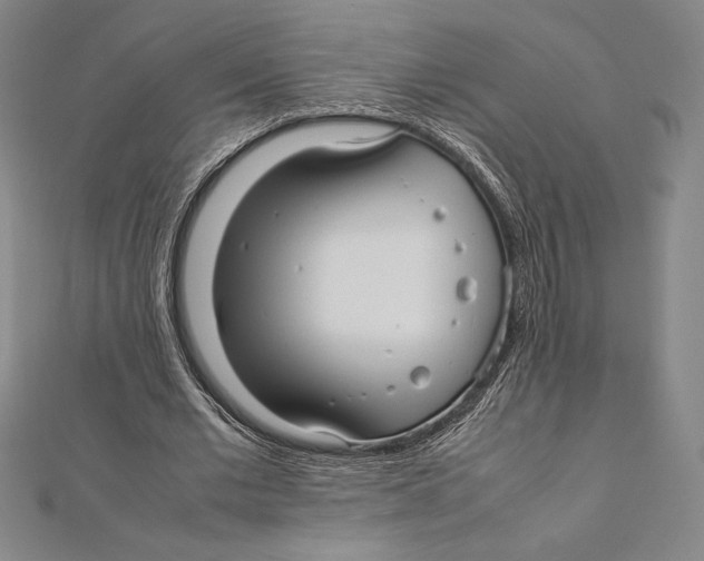 X0000112040677200908311236
