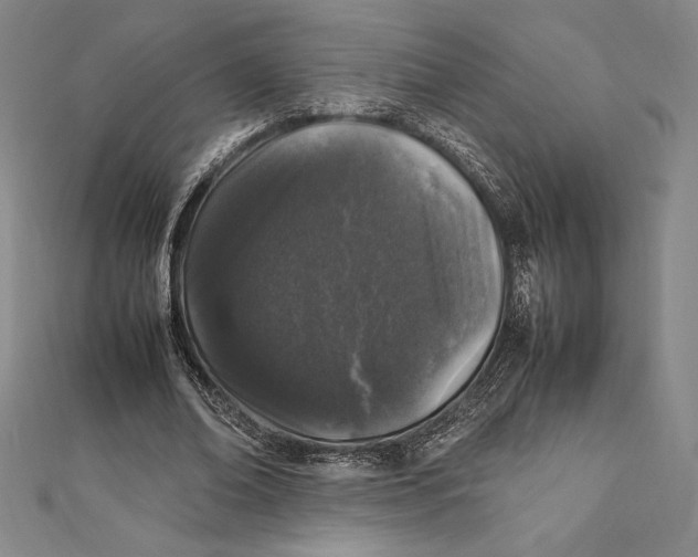 X0000112040678200908311236