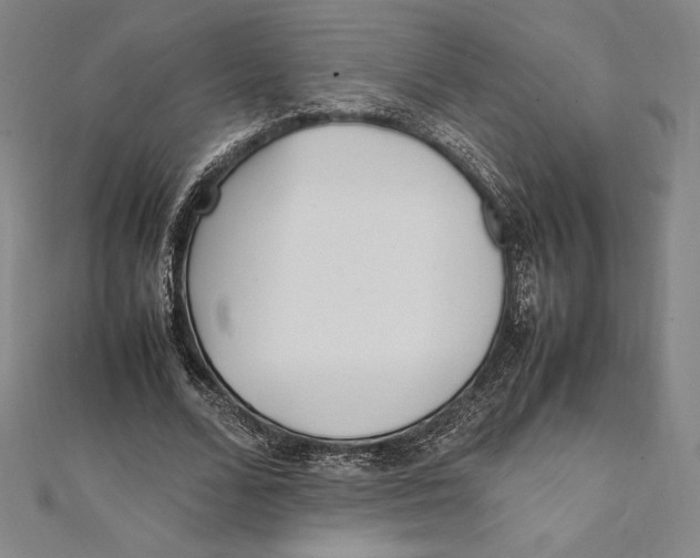 X0000112040680200908311236