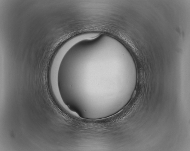 X0000112040681200908311236