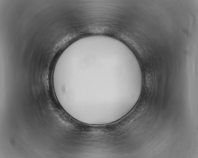 X0000112040682200908311236