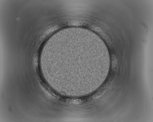 X0000112040683200908311236