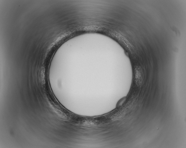 X0000112040684200908311236