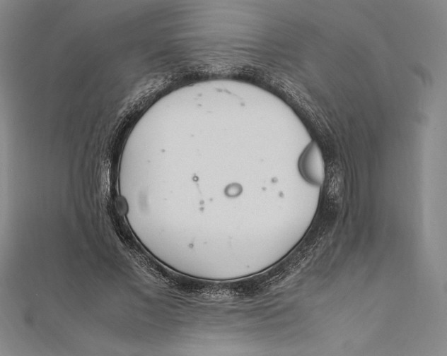 X0000112040685200908311236