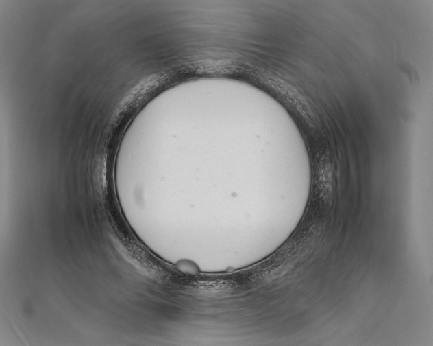 X0000112040686200908311236