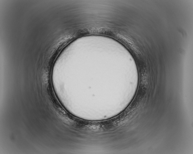 X0000112040687200908311236