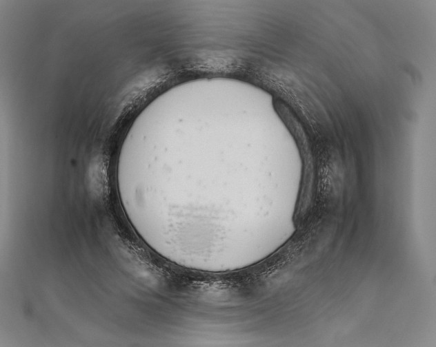 X0000112040688200908311236