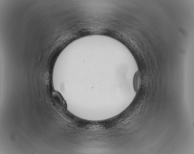 X0000112040689200908311236
