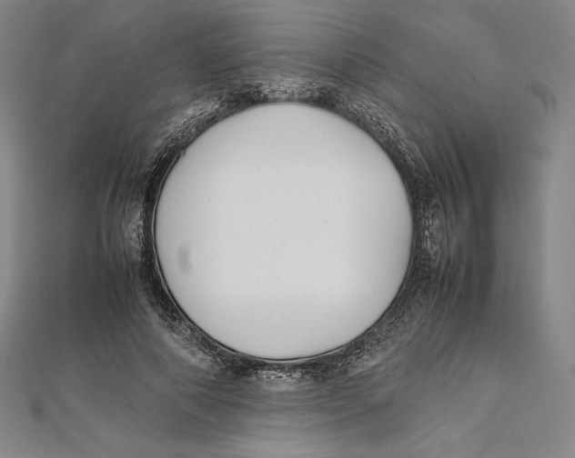 X0000112040690200908311236