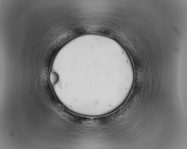 X0000112040691200908311236