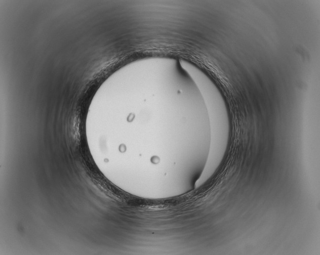 X0000112040692200908311236