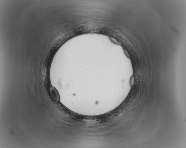 X0000112040693200908311236
