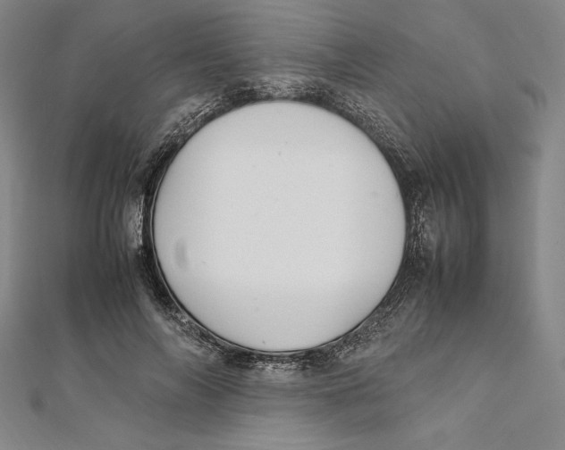 X0000112040694200908311236