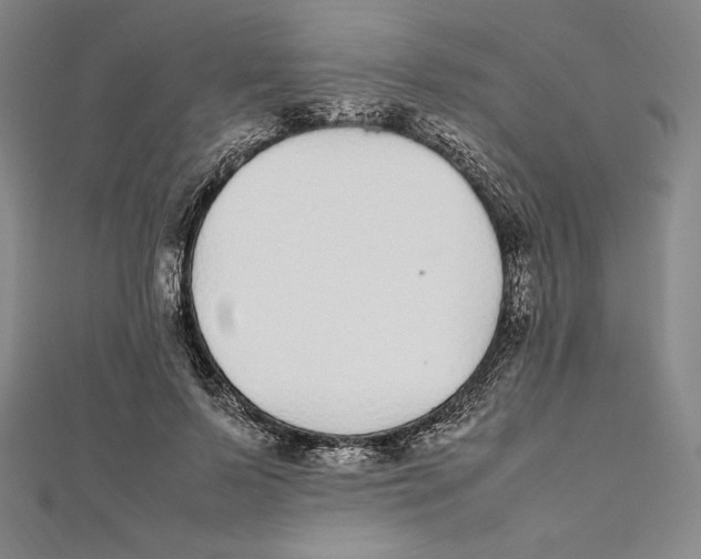 X0000112040695200908311236