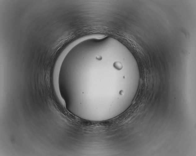 X0000112040696200908311236