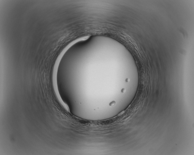 X0000112040697200908311236