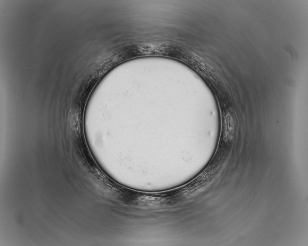 X0000112040699200908311236