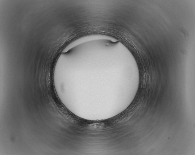 X0000112040700200908311236