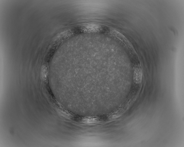 X0000112040701200908311236