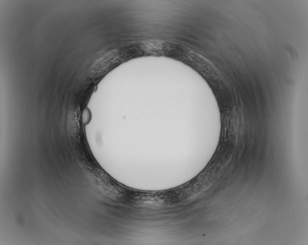 X0000112040702200908311236