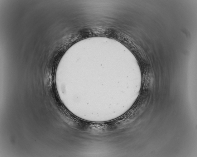 X0000112040703200908311236