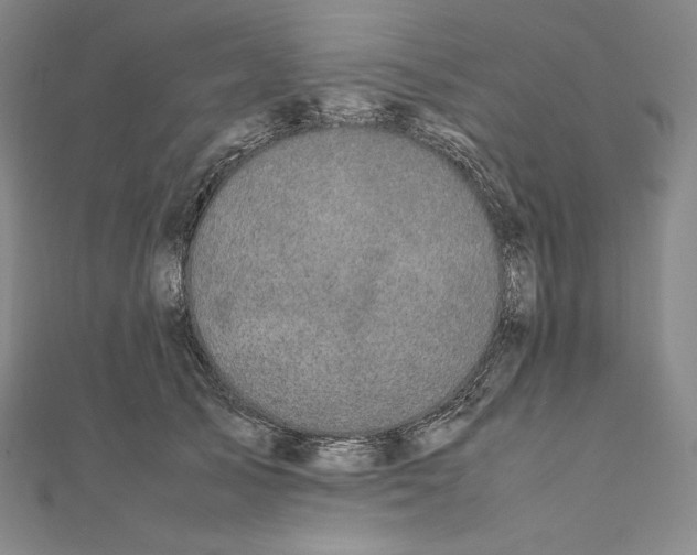 X0000112040705200908311236