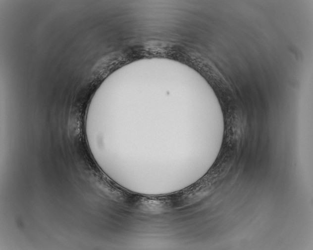 X0000112040706200908311236