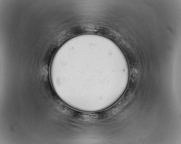 X0000112040707200908311236
