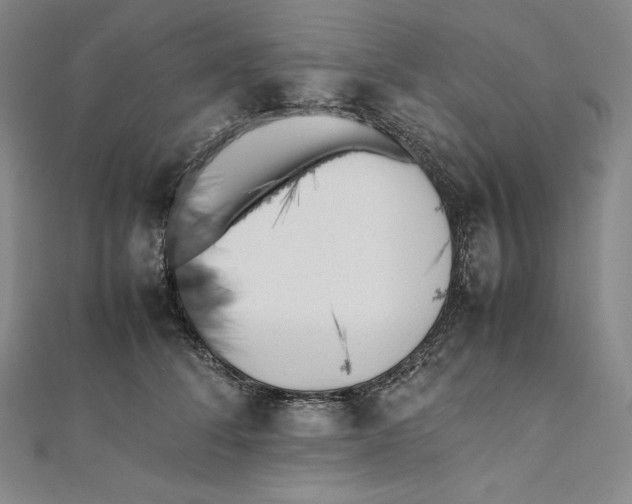 X0000112040708200908311236