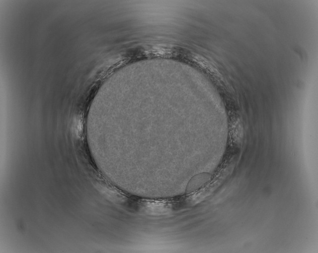 X0000112040709200908311236
