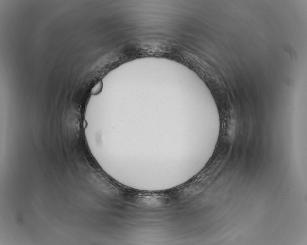 X0000112040710200908311236