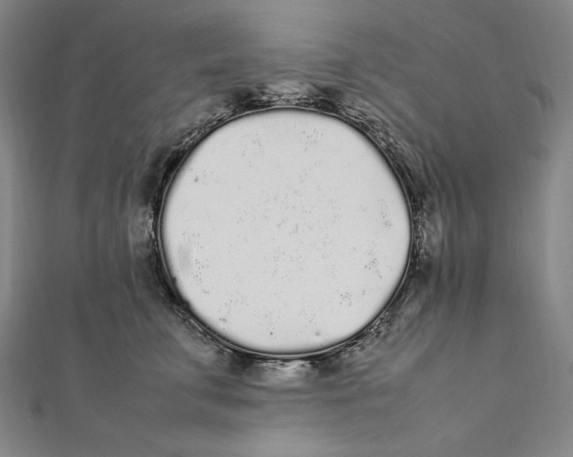 X0000112040711200908311236