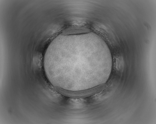 X0000112040712200908311236