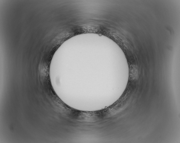 X0000112040713200908311236