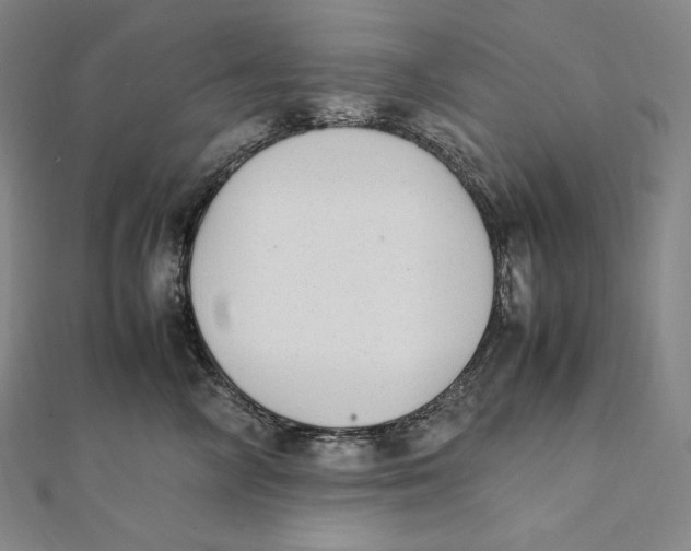 X0000112040714200908311236