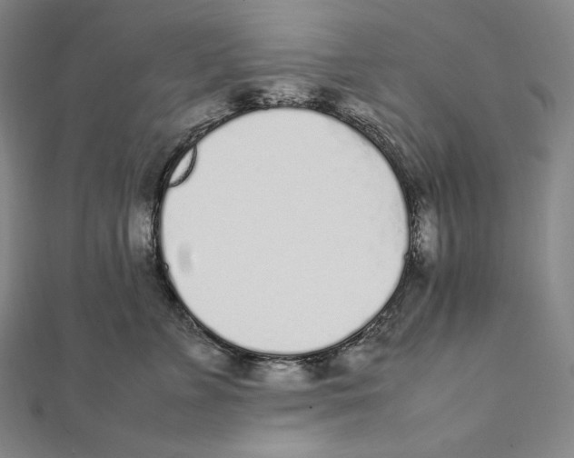 X0000112040715200908311236