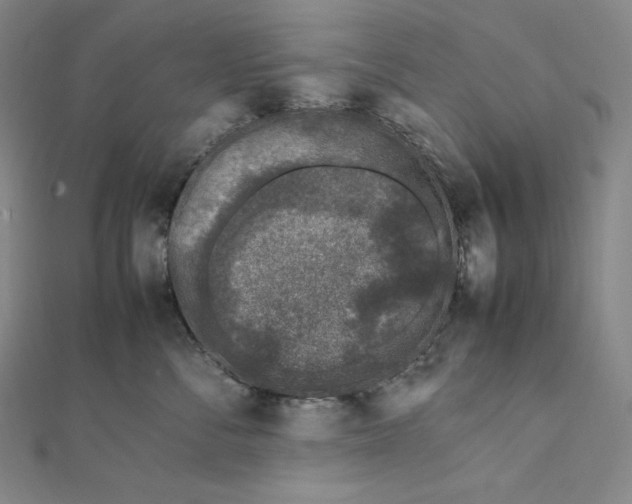 X0000112040716200908311236