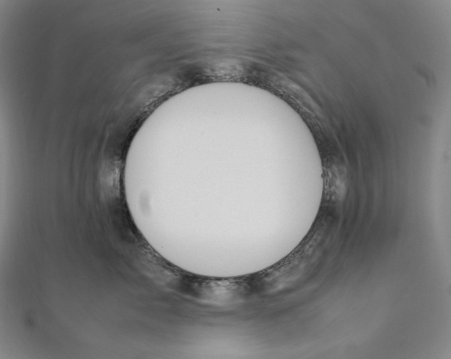 X0000112040717200908311236