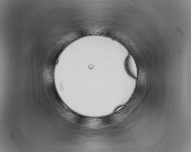 X0000112040719200908311236
