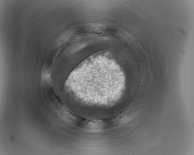 X0000112040720200908311236